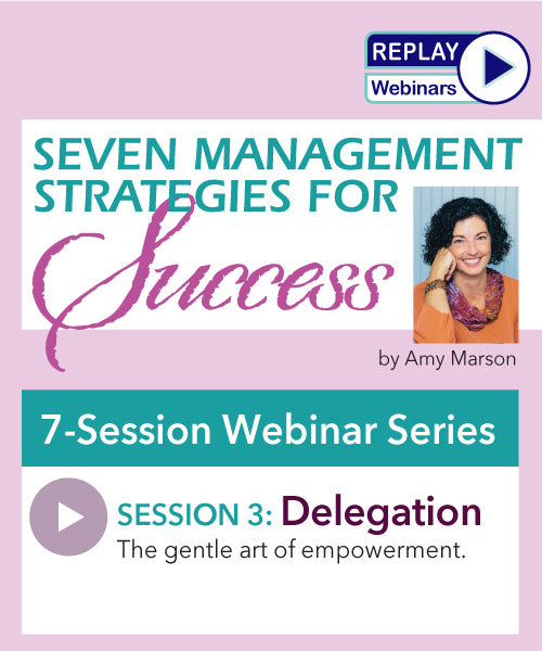 SEVEN MANAGEMENT STRATEGIES for SUCCESS:  3 Delegation